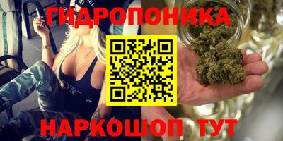 2c-b Гатчина