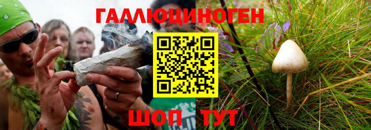 Псилоцибиновые грибы GOLDEN TEACHER Нефтеюганск